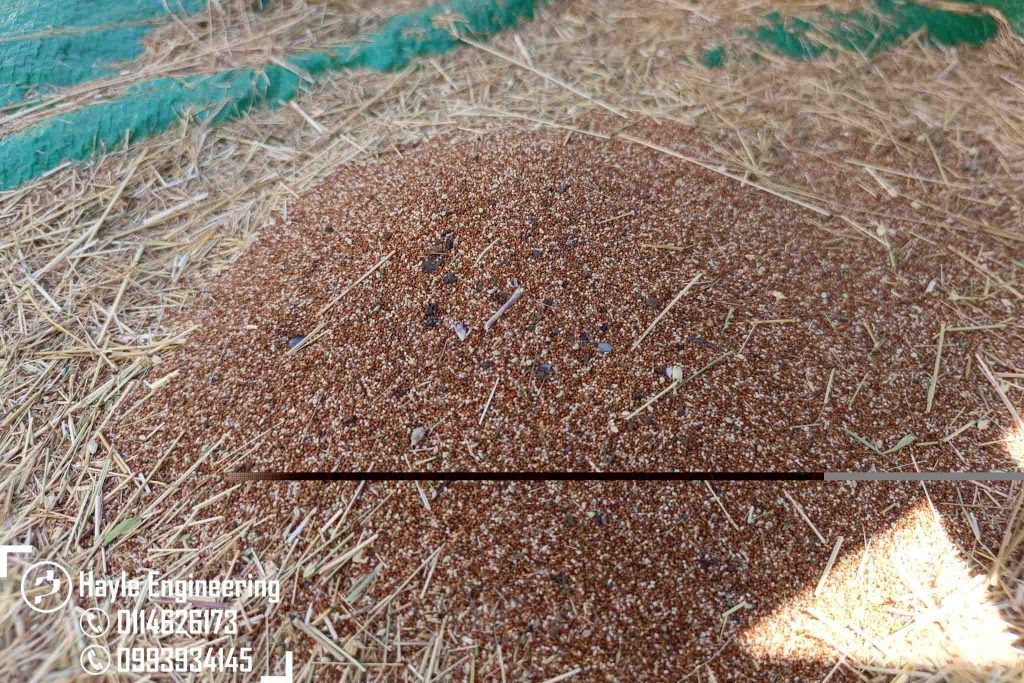የጤፍ ፣ የገብስ እና የስንዴ መውቂያ ማሽን| Teff, Wheat and Barley Thresher Machine